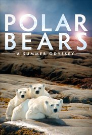 Polar Bears: A Summer Odyssey (2012)